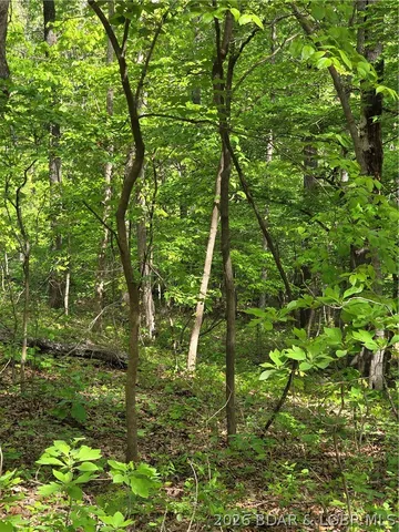 Broken Circle Rd, Stover, MO 65078