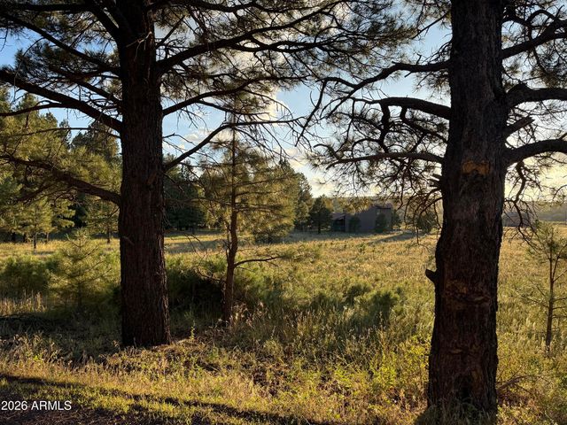 184 High Point Drive #C, Mormon Lake, AZ 86038