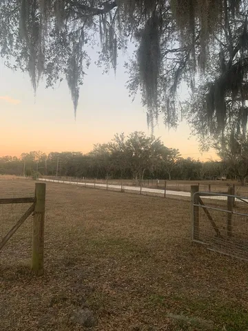 000 175th Ave, Old Town, FL 32680