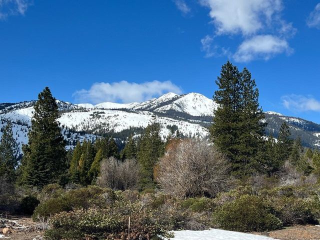 Acreage Off, Mount Shasta, CA 96067