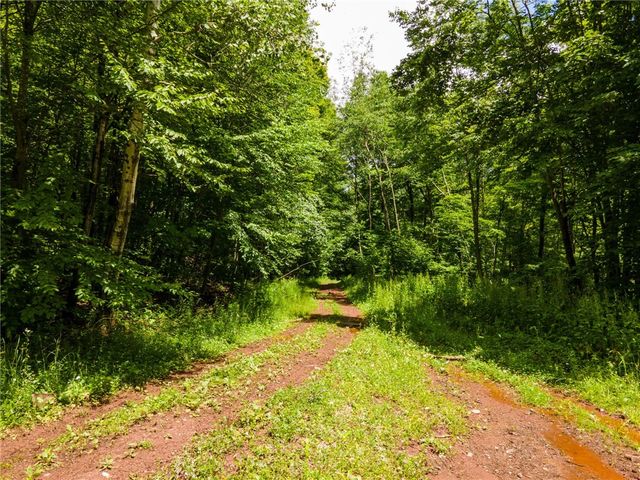 McMurdy Hill Rd, South Kortright, NY 13842