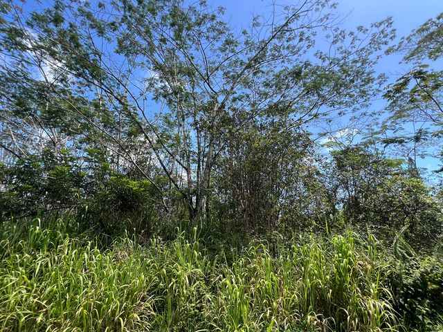 Kailua Rd #406, Pahoa, HI 96778