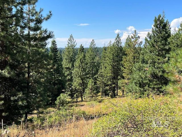 Lot 8 Whitefield Ln, McCall, ID 83638