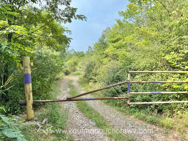 Oil Field Rd, Procious, WV 25164