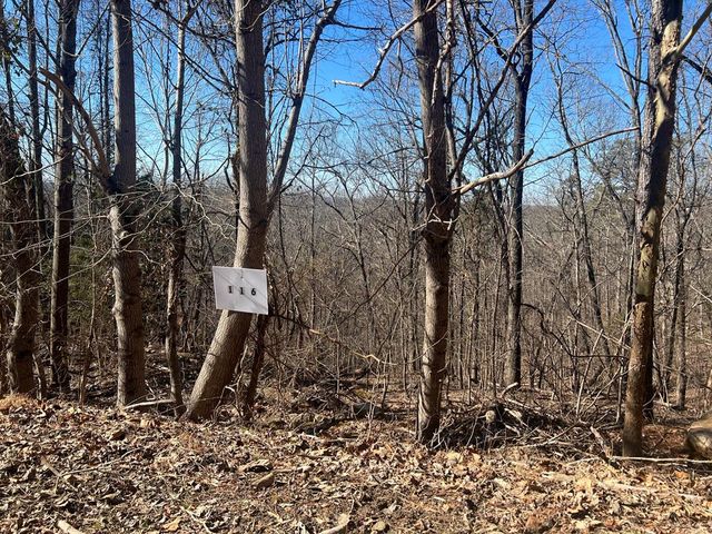 Battleline Dr, Rocky Face, GA 30740