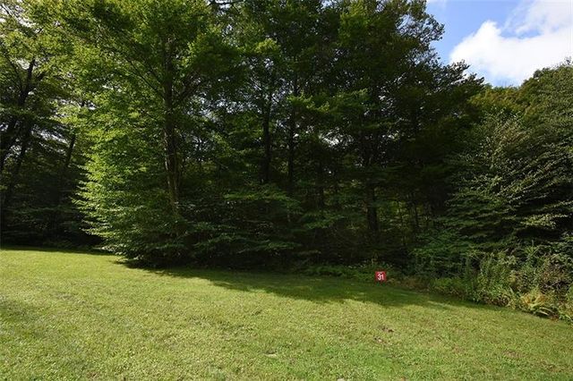 Lot 31 Grouse Poin, Champion, PA 15622