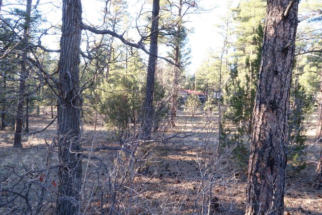 4790 W  Hawthorn Rd, Show Low, AZ 85901