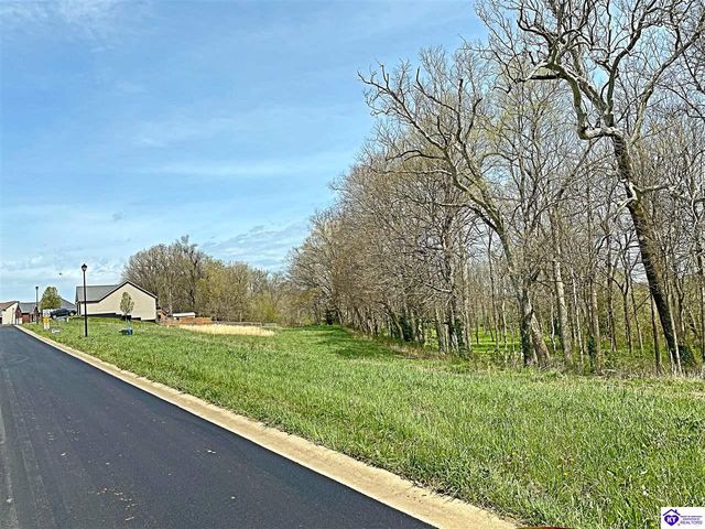 Vine Grove Ky
