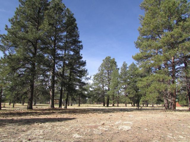 2697 W  Brookhollow Dr, Williams, AZ 86046