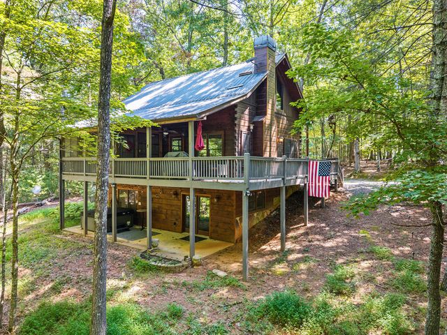 63 Bushy Head Rd, Cherry Log, GA 30522