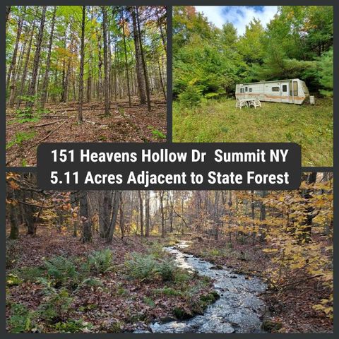 151 Heavens Hollow Rd, Summit, NY 12175