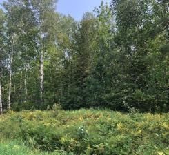 County Road 60, Bovey, MN 55709
