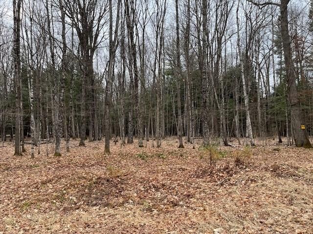 N  Forest Lake Rd #3, Land O Lakes, WI 54540