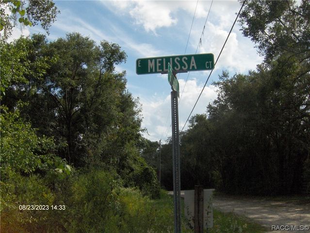 8419 E  Melissa Ct, Floral City, FL 34436