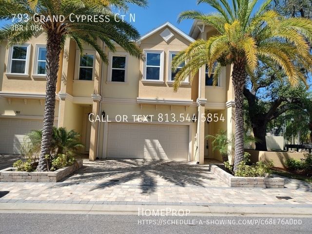 793 Grand Cypress Ct N, Tarpon Springs, FL 34689