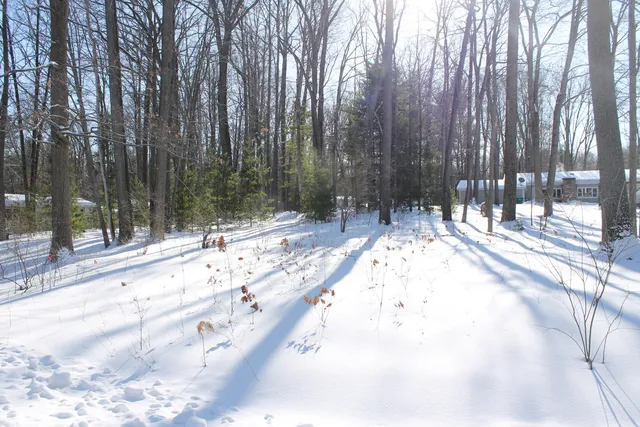 206 Middle Dr, Prudenville, MI 48651
