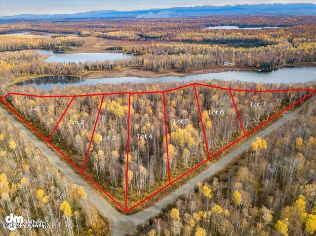 10315 N  Little Lonely Lake Rd, Willow, AK 99688