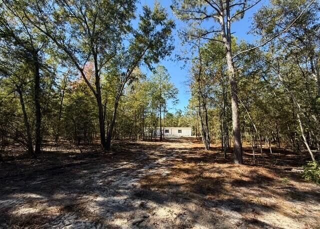 1482 Hebron Rd, Neeses, SC 29107