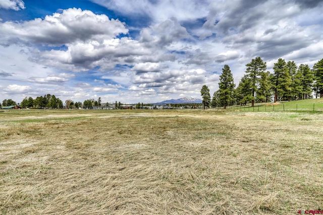 63 W  McCabe St, Pagosa Springs, CO 81147