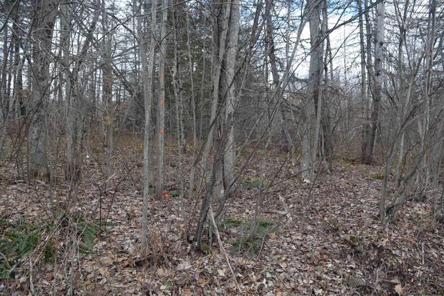 lot 4 687 Route 1, Fleischmanns, NY 12430