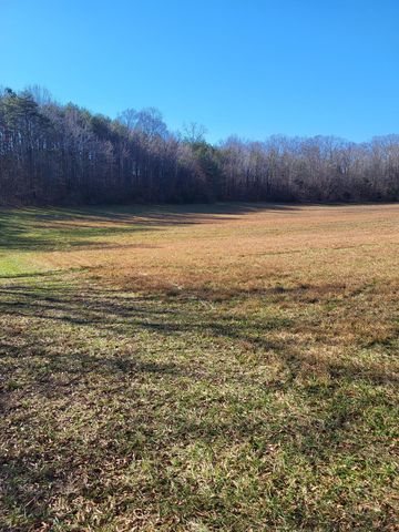16633 Andy Thomas Rd, Sale Creek, TN 37373