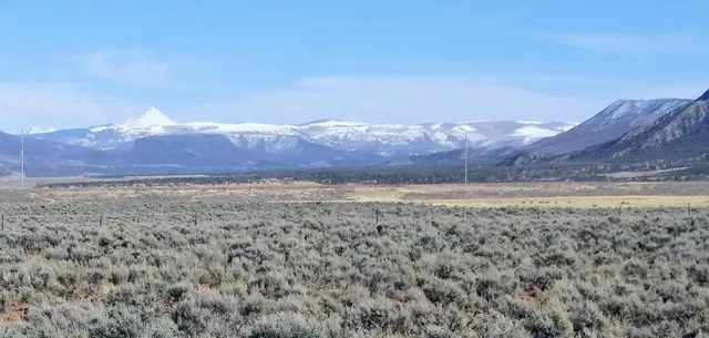 County Road 25R, Naturita, CO 81422