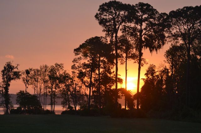 43914 Doctors Cove Rd, Altoona, FL 32702