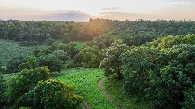 75 Acres Cannon Rd, Lancaster, WI 53813