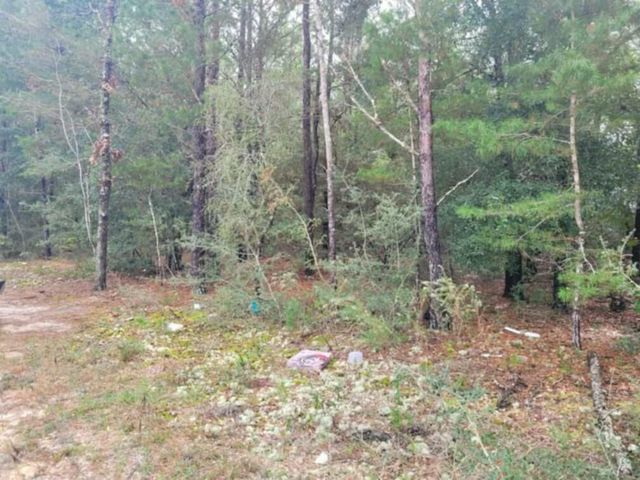 5 E  Violet Ln, Defuniak Springs, FL 32433