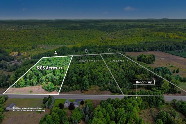 PARCEL Honor Hwy #A, Honor, MI 49640