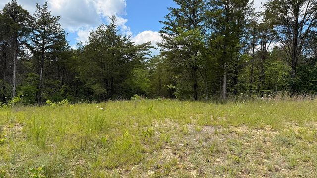 2 Walker Cemetery Rd, Bulls Gap, TN 37711