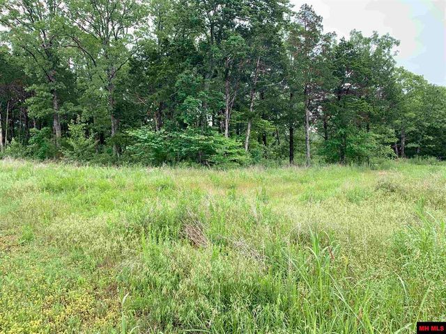 Lot 8 Colewood Dr, Mountain Home, AR 72653
