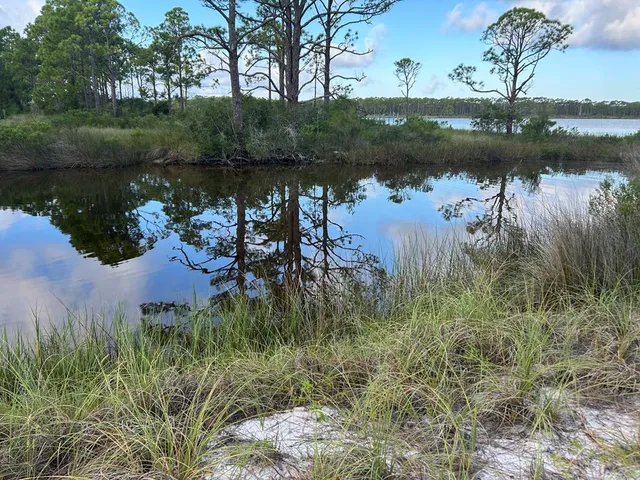 116 Anglers Rd, Carrabelle, FL 32322