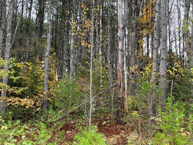 Lot #7 Upland Road, Wiscasset, ME 04578