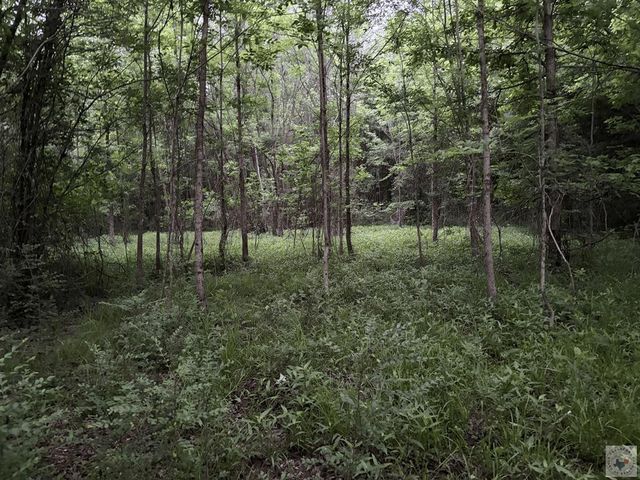 County Road 2742, Marietta, TX 75566