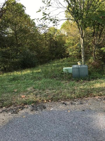 Lot 14 Chestnutwood Dr, Chilhowie, VA 24319
