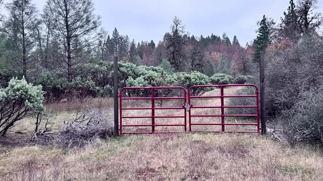 Dittman Rd, Montgomery Creek, CA 96065