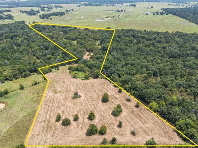 883 FM 1653, Ben Wheeler, TX 75754