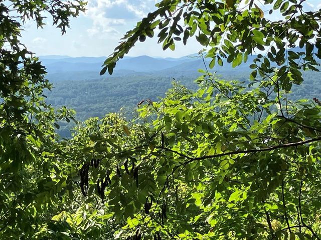 11 Brasstown Rd, Murphy, NC 28906