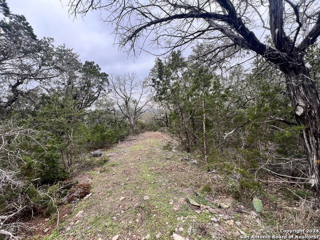 447 Coyote Trail LOT 15, Spring Branch, TX 78070