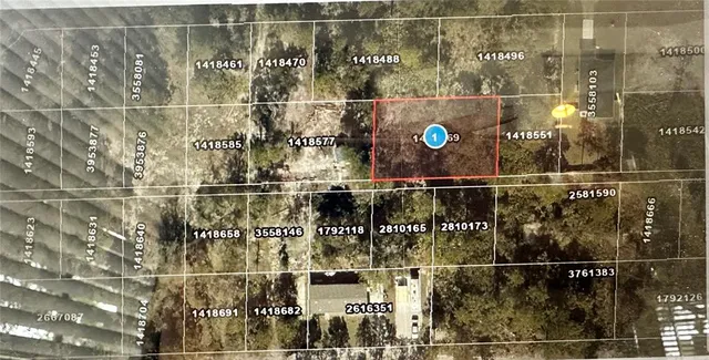 Lots 121 & 122 Park Forest Blvd #121, Mount Dora, FL 32757
