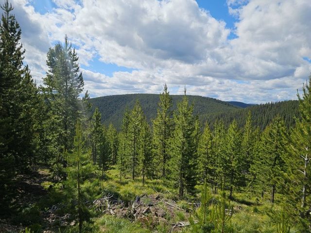 5212 Sliderock Mountain Rd #4896, Philipsburg, MT 59858