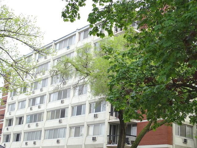 140 Marengo Ave #105, Forest Park, IL 60130