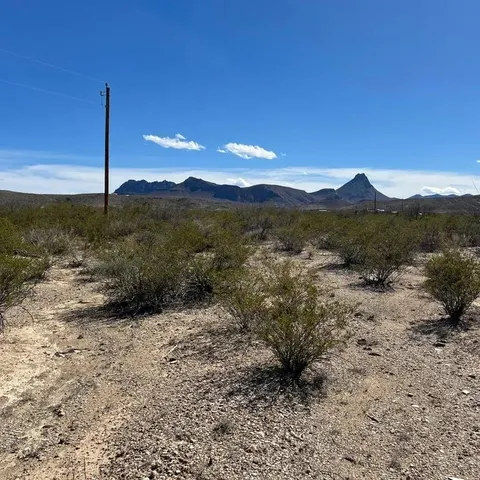 31466 Ringtail Rd, Terlingua, TX 79852