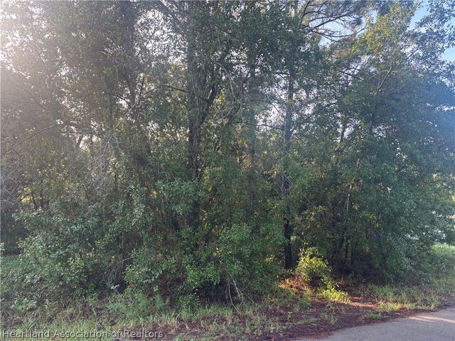 905 Primrose St, Lake Placid, FL 33852