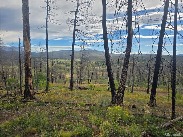 818 Soubry Place, Fort Garland, CO 81133
