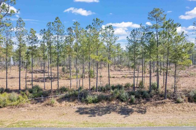 Lot 6 State Highway 89, Jay, FL 32565