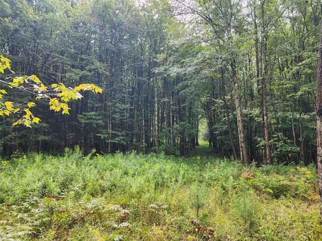 400 Sprague Rd, Afton, NY 13730