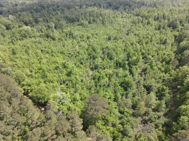 Address Not Disclosed, Hamburg, AR 71646