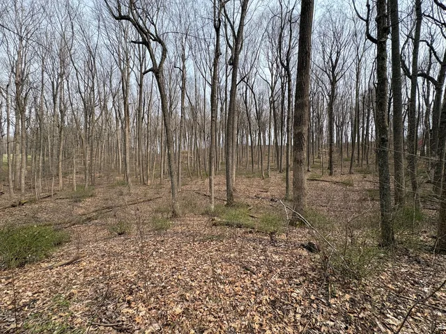 Woodland Dr, Lewisburg, WV 24901